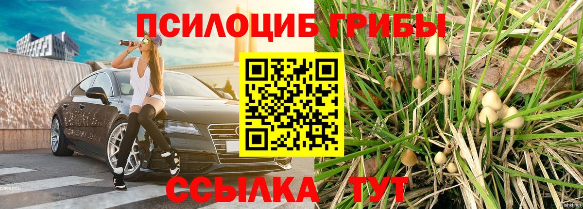 Псилоцибиновые грибы прущие грибы  Вход с VPN  Когалым 