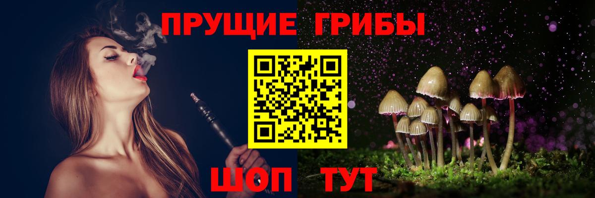 Псилоцибиновые грибы Psilocybine cubensis Когалым